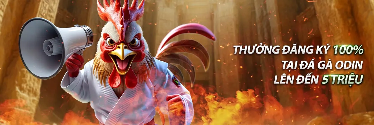 Tham gia dabet us ngay